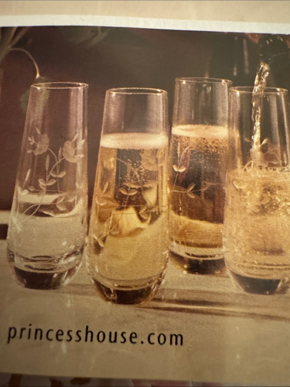 Princess House Clear Etched Highball Glasses with Floral Motif